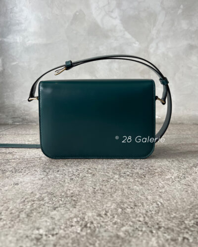 CELINE Amazone Green Classique Adjustable Triomphe Bag in Shiny Calfskin Leather and Gold Hardware