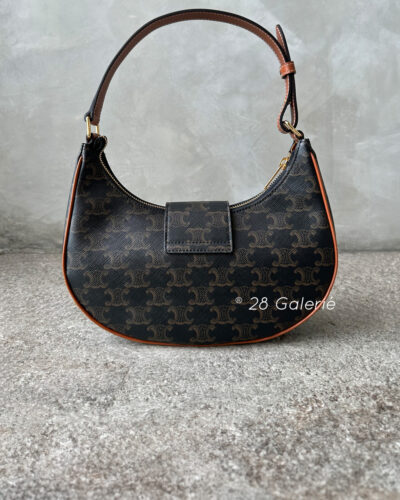 Celine Small Ava Triomphe in Canvas and Calfskin Leather with Gold Hardware