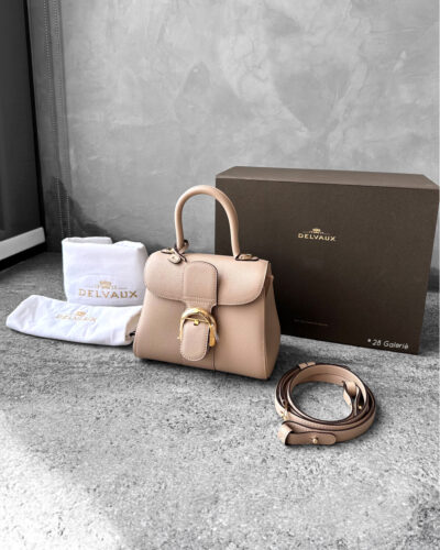 Delvaux Sirocco Brillant Mini in Rodeo Calfskin Leather and Gold Hardware