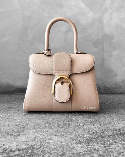 Delvaux Sirocco Brillant Mini in Rodeo Calfskin Leather and Gold Hardware